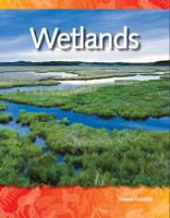 Los Pantanos (Wetlands) 1433303167 Book Cover