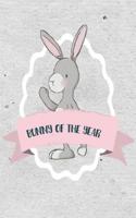 Bunny of the Year. Friendship Secrets Notebook: Cute small book bunny for girls. 1090902344 Book Cover