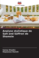 Analyse stylistique de Salt and Saffron de Shamsie (French Edition) 6207871723 Book Cover