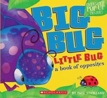 Big Bug, Little Bug 1848570686 Book Cover