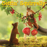 2026 Gettin' Squirrelly 12 x 12 Wall 1549251252 Book Cover