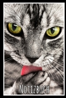 Notizbuch: Planer mit Katze f�r deine Notizen. 120 Seiten mit Karos und gl�nzendem Softcover 1702580105 Book Cover