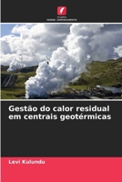Gestão do calor residual em centrais geotérmicas 6207308557 Book Cover