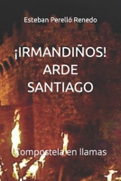 �Irmandi�os! Arde Santiago: Compostela en llamas null Book Cover