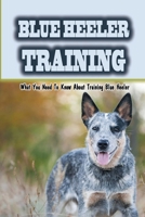 Blue Heeler Training: What You Need To Know About Training Blue Heeler: Blue Heeler Training Commands B09BZP8PJQ Book Cover