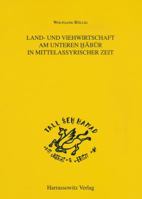 Land- Und Viehwirtschaft Am Unteren Habur in Mittelassyrischer Zeit 344705719X Book Cover