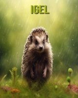 Igel: Unterhaltsames und lehrreiches Buch für Kinder mit erstaunlichen Fakten und Bildern B0CF4FLZQ5 Book Cover