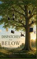 Dispatches from Below: A Novel of Choices, Consequences, And The Heart We Hide B0HGR3YMQP Book Cover