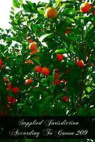 Supplied Jurisdiction According To Canon 209 1466381736 Book Cover