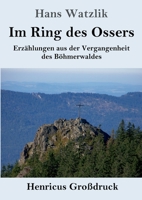 Im Ring des Ossers (German Edition) 3743730839 Book Cover