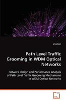 Path Level Traffic Grooming in WDM Optical Networks 363906724X Book Cover