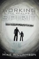 Working in the Realms of Spirit: A True Story about Poltergeists and Haunted Houses in the 20th Century 0979471516 Book Cover