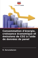 Consommation d'énergie, croissance économique et émissions de CO2 à l'aide de données de panel 6205866994 Book Cover