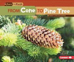 From Cone to Pine Tree 1512456225 Book Cover
