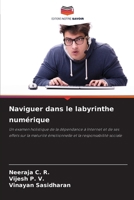 Naviguer dans le labyrinthe numérique (French Edition) 6207041283 Book Cover