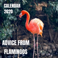 Advice From Flamingos Photo Book Calendar 2020 with flamingo inspirational quotes: For Flocking Fabulous Flamingo Fans 1653364564 Book Cover