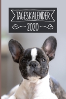 Tageskalender 2020: Terminkalender ca DIN A5 weiß über 370 Seiten I 1 Tag eine Seite I Jahreskalender I Französische Bulldogge I Hunde 1702082865 Book Cover