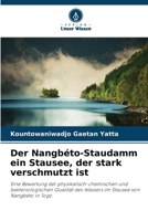 Der Nangbéto-Staudamm ein Stausee, der stark verschmutzt ist (German Edition) 6630478940 Book Cover