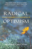 Radical Optimism: Practical Spirituality in an Uncertain World 1591810019 Book Cover