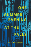 One Summer Evening at the Falls 022673711X Book Cover