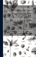 Annales Du Musée Royal D'histoire Naturelle De Belgique, Volume 5... - Primary Source Edition 1295682052 Book Cover
