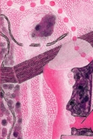 Contacts with Barbarians/Ice Cream Girl 1312412925 Book Cover