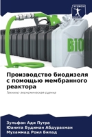 ???????????? ????????? ? ??????? ??????????? ????????: ???????-????????????? ?????? (Russian Edition) 6207576217 Book Cover