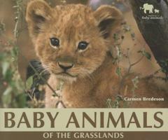 Baby Animals of the Grasslands (Nature's Baby Animals) 0766030067 Book Cover