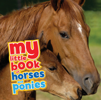 My Little Book of Horses and Ponies 1682973298 Book Cover