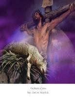 The Book of John 1973970074 Book Cover