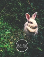 2020-2021 Two Year Planner: Rabbit Planner January 1, 2020 to December 31, 2021 Weekly & Monthly Planner + Calendar Views Bunny Rabbit 2 Year Calendar 24 Month Agenda Planner Gift For Rabbit Lovers 1677433914 Book Cover