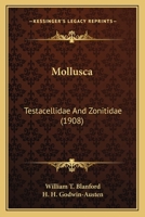 Mollusca. Testacellidae and Zonitidae 1164033298 Book Cover