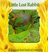 Little Lost Rabbit-A Magic Window Book (A Magic Window Book) 0895774453 Book Cover