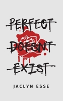 Perfect Doesn't Exist 0578795388 Book Cover