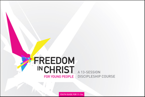 Freedom in Christ Workbook for Young People 11-14 workbook 1854249258 Book Cover