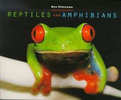 Reptiles and Amphibians 0811823067 Book Cover