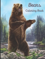 Bears Coloring Book: A painting fun for children and adults B0BRMT294V Book Cover