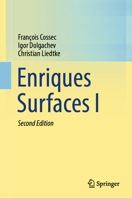 Enriques Surfaces I 9819612136 Book Cover