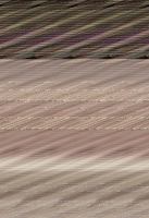 Temporary Sojourner: South African Stories 0984834524 Book Cover