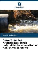 Bewertung des Krebsrisikos durch polyzyklische aromatische Kohlenwasserstoffe (German Edition) 6209617190 Book Cover
