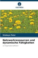 Netzwerkressourcen und dynamische Fähigkeiten 6209350739 Book Cover