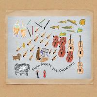 Flash Meets the Orchestra 1524511838 Book Cover