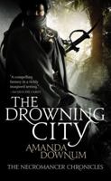 The Drowning City 0316069043 Book Cover