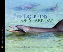 The Dolphins of Shark Bay 0547716389 Book Cover