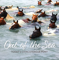 Out of the Sea: Today's Chincoteague Pony 0764369709 Book Cover