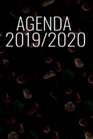 Agenda 2019 / 2020: Planificateur Juillet 19 A D�cembre 20 / 1 Semaine Sur 2 Pages / 18 Mois / Noir Et Bleu 1075470730 Book Cover