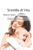 Scintilla di Vita: Cercare una gravidanza e rimanere incinta in modo naturale null Book Cover