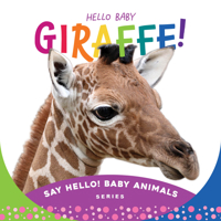 Hello Baby Giraffe! 1534113312 Book Cover