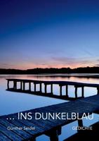 ins dunkelblau: 90 Gedichte 3749465002 Book Cover