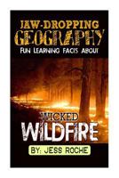 Jaw-Dropping Geography: Fun Learning Facts about Wicked Wildfires: Illustrated Fun Learning for Kids 150761182X Book Cover